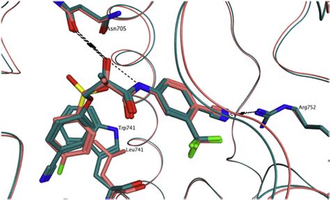 Superimposition Between The Crystal Structure Of Wt Ar Co Crystallised