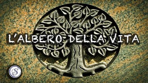 Albero Della Vita Simbologia E Significato Albero Della Vita