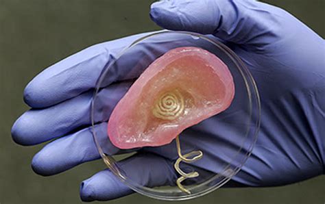 3d Printed Organs