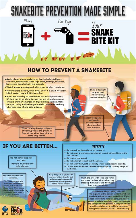 Snake Bite First Aid Poster
