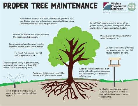 Chapter Tree Health Care And Pruning Tree Steward Manual