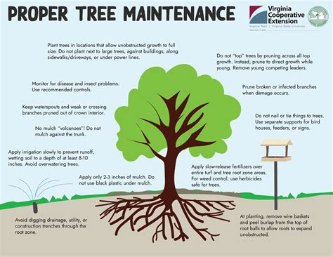 Chapter 9: Tree Health Care and Pruning – Tree Steward Manual