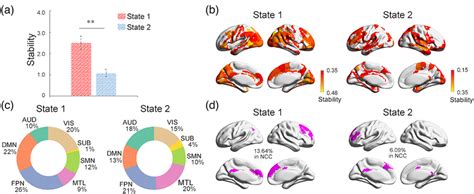 Neural Correlates Of Consciousness Ncc Dynamics A Two Different