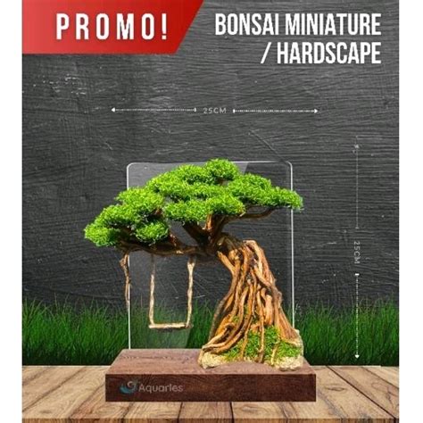 Jual Bonsai Doyong Ayunan Aquascape Hiasan Akuarium Shopee Indonesia