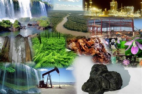 Довжина хвилі — визначення, формули, властивості