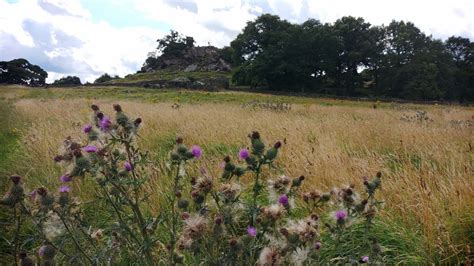 Walk 23: Robin Hood’s Stride – Walk in Derbyshire