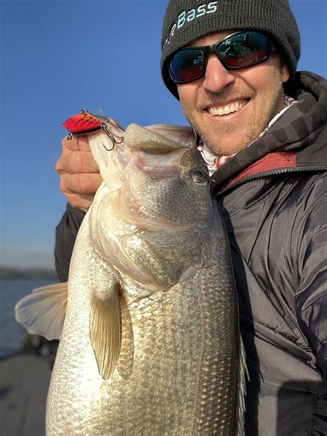 Cold Water Lipless Crankbaits With Ryan Salzman Westernbass