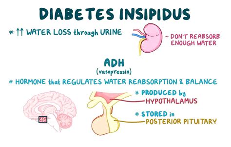 Diabetes Insipidus: Symptoms, Diagnosis & Treatment