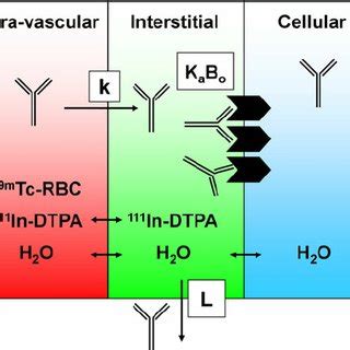 Receptor Occupancy As It Relates To Dose In Terms Of Absolute Versus