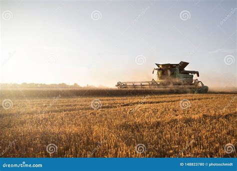 Wheat Field With A Combine Harvester At Sunset Stock Photo Image Of