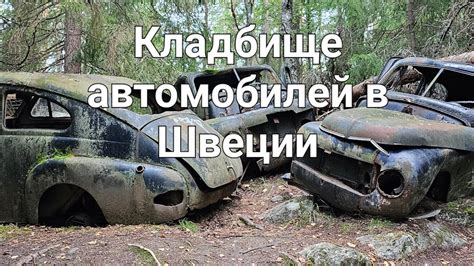 Кладбище автомобилей в Швеции. Car cemetery. 4k - YouTube