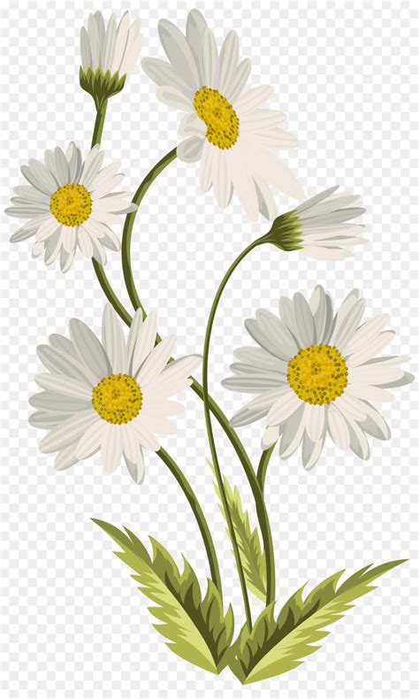 Free Daisy Clipart Transparent, Download Free Daisy Clipart Transparent ...