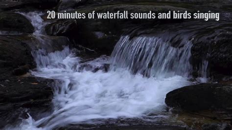 Minutes Of Waterfall Sounds And Birds Singing Youtube