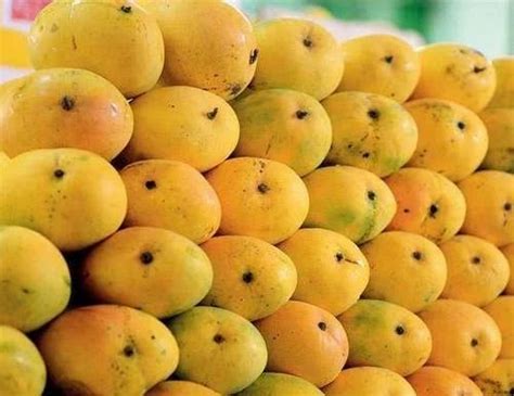 Kesar Mangoes at Rs 750/box | Mendarda | Junagadh | ID: 19709988862