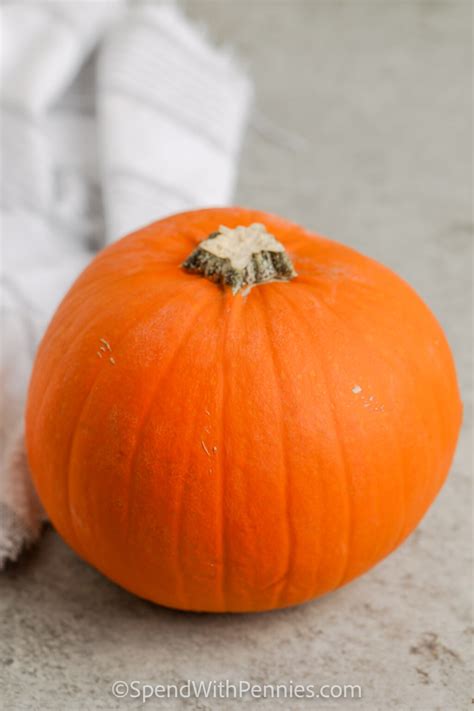 Homemade Pumpkin Puree Spend With Pennies