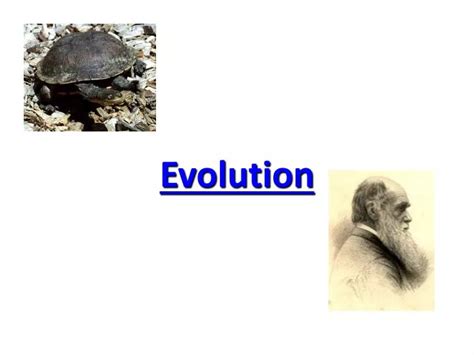 PPT - Evolution PowerPoint Presentation, free download - ID:2501185