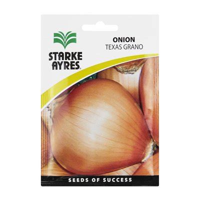 Starke Ayres Onion All Year Round 15g Smart Price Specials PnP Home