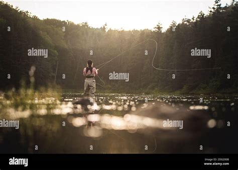 Woman Angler Fly Fishing In NH Backcountry Lake With Back Lighting