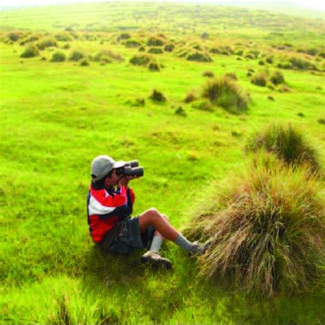 Pdf Biodiversity Of Sri Lanka