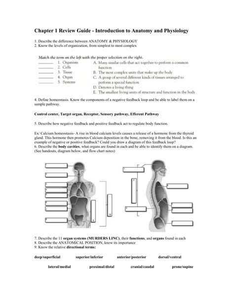 Quizlet Anatomy And Physiology Chapter 1 Quiz