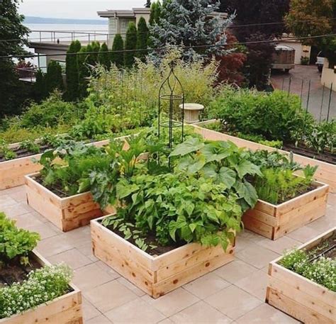 Food Garden Design Ideas - Mindosofa