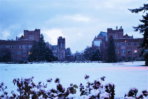 The Campus Walker | Office of Minority Affairs & Diversity