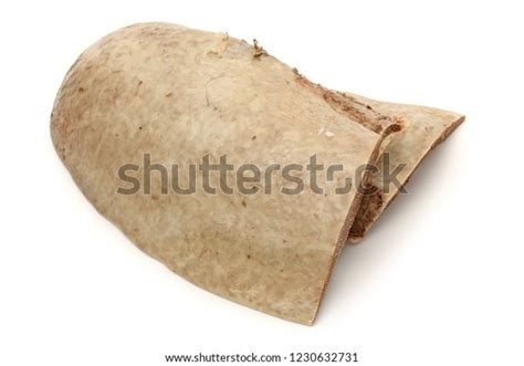 Cooked Beef Spleen Over White Background Stock Photo 1230632731