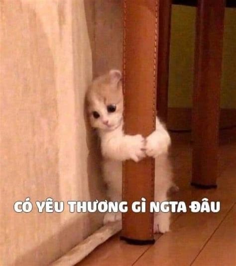 Tổng Hợp Meme Dỗi Hài Hước Cute đáng Yêu