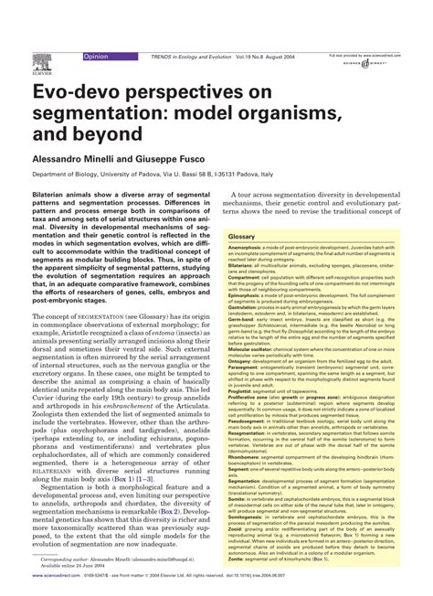 Pdf Evo Devo Perspectives On Segmentation Model Organisms And Beyond