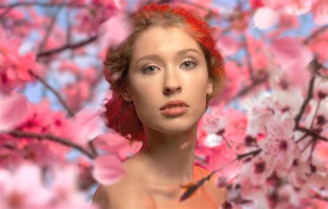 Wallpaper Look Girl Branches Face Cherry Portrait Spring