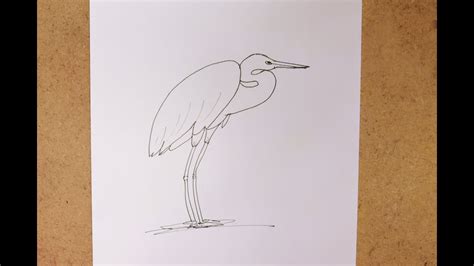 Easy Draw A Heron Step By Step How To Draw Heron Beginners Draw A