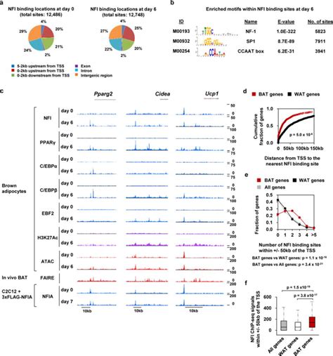 Nfia Co Localizes With Ppar And Transcriptionally Controls The Brown