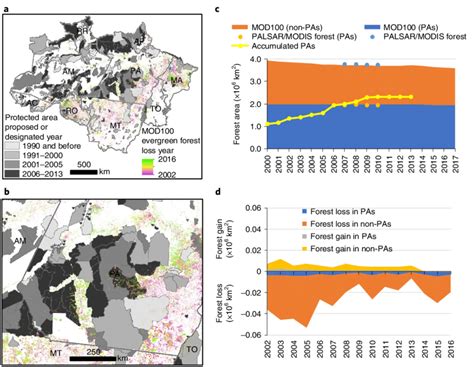 Annual Dynamics Of Forest Areas Within PAs And Non PAs In The