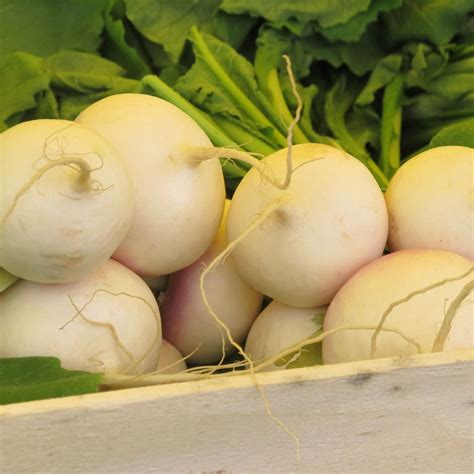 Paris Farmers Market Farmers Market Paris Pictures Natural Ts