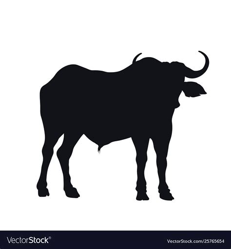 Black silhouette african buffalo Royalty Free Vector Image