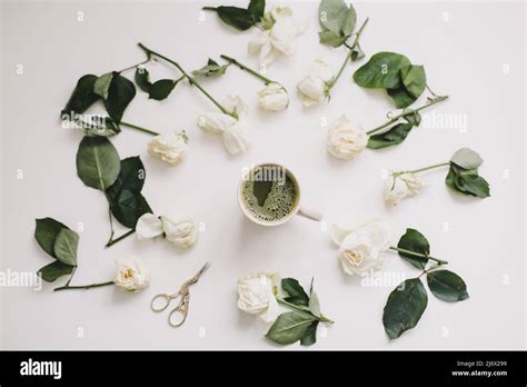 A Cup Of Green Tea With White Roses On White Background Flatlay Top