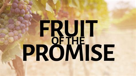 Promises And Fruitfulness The Light Of Christ Journey