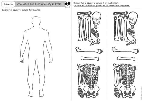 Pdf Comment Est Fait Mon Squeletteleblogducancre Comment Est