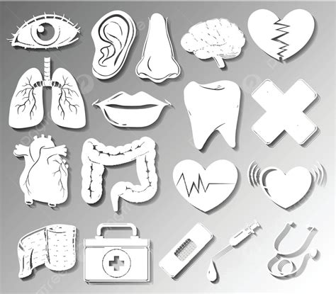 Medical Intestine Doctor Cartoon Vector Intestine Doctor Cartoon Png