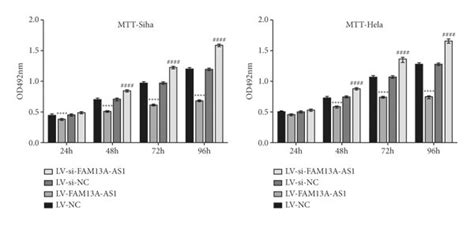 Effects Of FAM13A AS1 On Proliferation And Apoptosis Of Cervical Cancer