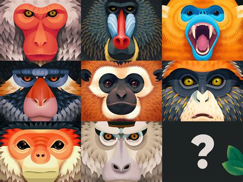 Old World Monkeys on Behance