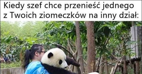 Kiedy szef chce przenieść jednego z Twoich ziomeczków na inny dział