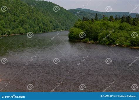 Paisagem Taiga E Natureza Do Extremo Oriente Russo Imagem De Stock