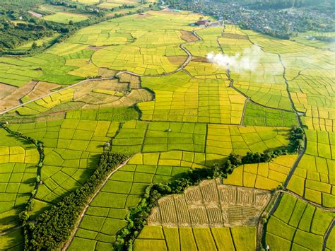 Um Alqueire Tem Quantos Hectares