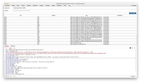 Burp Suite Extension Metlo