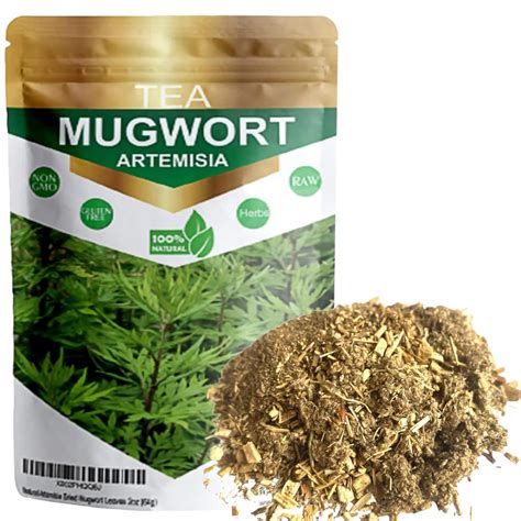 Mugwort Leaves Natural Artemisia Vulgaris Dried Artemisia Leaves Mugwort Leaves