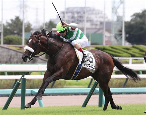 ＜中山5r＞新馬戦を制したシックスペンス（撮影・村上 大輔） ― スポニチ Sponichi Annex ギャンブル