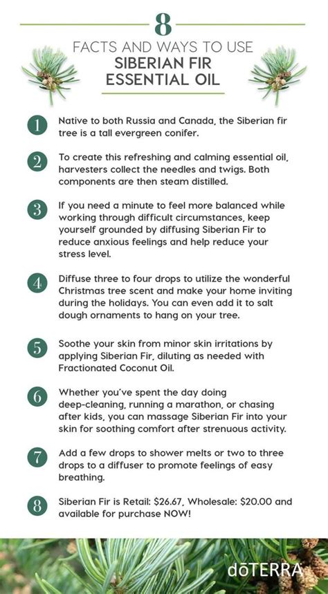 DoTERRA Siberian Fir Essential Oil Uses And Benefits Siberian Fir