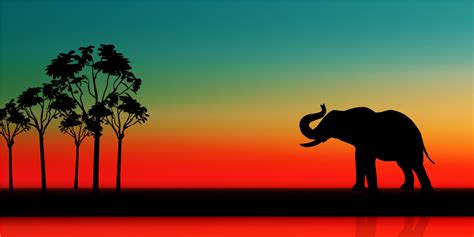 Курс Основы Hadoop для Администраторов и Специалистов Big Data