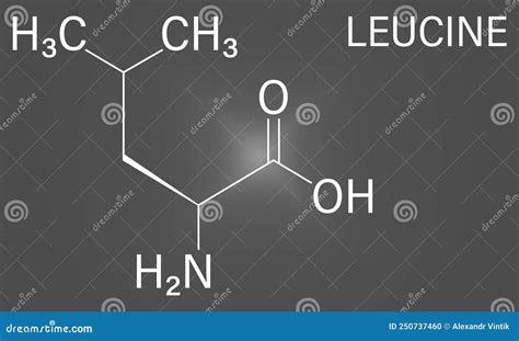 Leucine Or L-leucine, Leu, L Amino Acid Molecule. Skeletal Formula ...